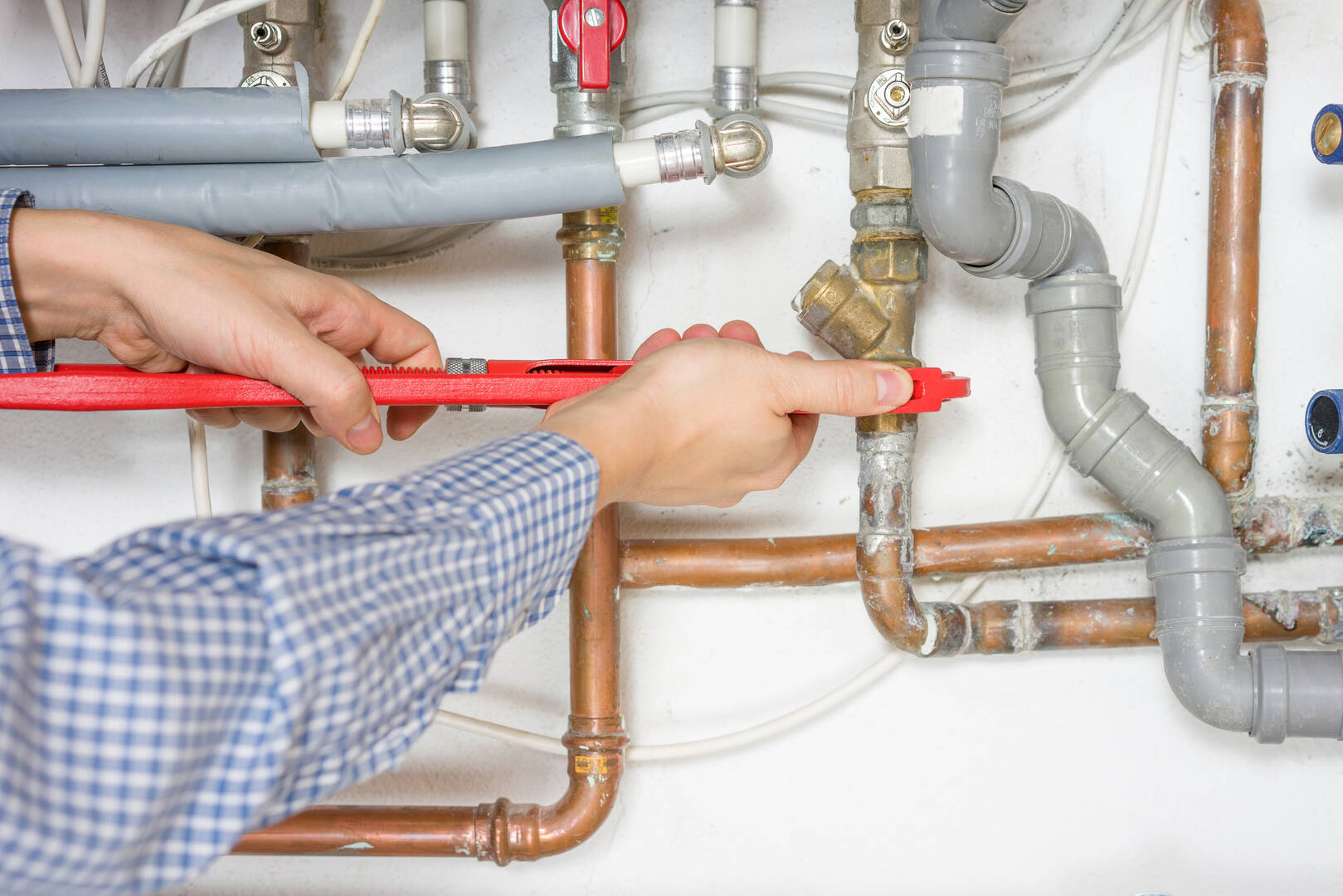 Pro Rooter Inc